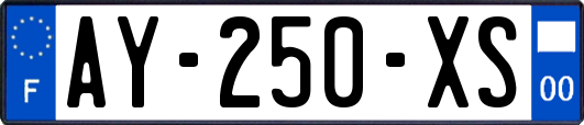 AY-250-XS