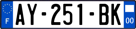 AY-251-BK