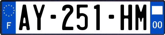 AY-251-HM