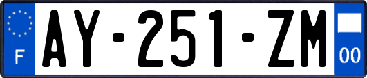 AY-251-ZM