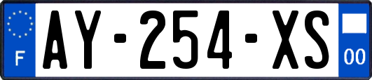 AY-254-XS