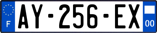 AY-256-EX