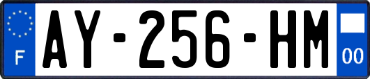 AY-256-HM