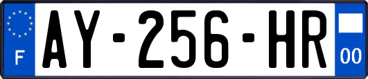 AY-256-HR
