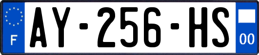 AY-256-HS