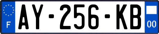 AY-256-KB