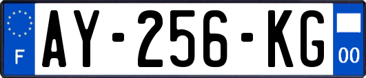 AY-256-KG