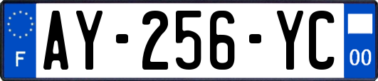 AY-256-YC