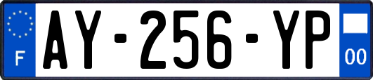 AY-256-YP