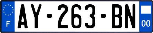AY-263-BN