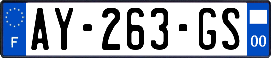 AY-263-GS