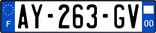 AY-263-GV