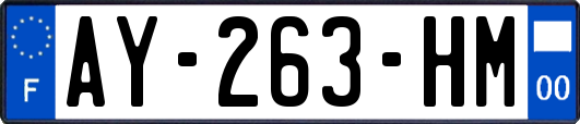 AY-263-HM