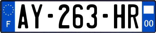AY-263-HR