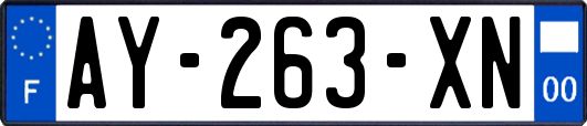 AY-263-XN