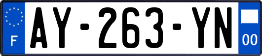 AY-263-YN