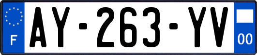 AY-263-YV