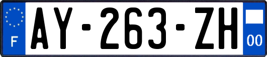 AY-263-ZH