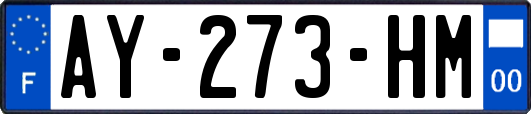 AY-273-HM