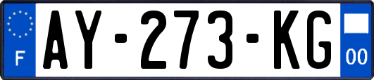 AY-273-KG