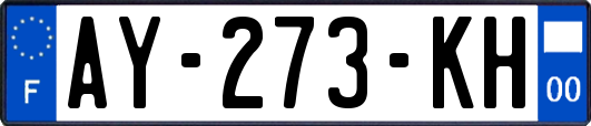 AY-273-KH