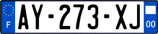 AY-273-XJ