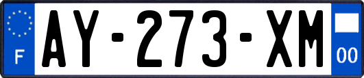 AY-273-XM