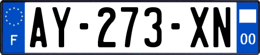 AY-273-XN
