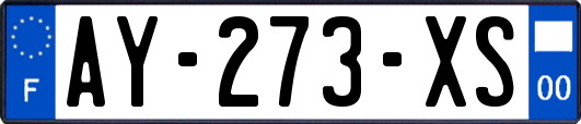 AY-273-XS