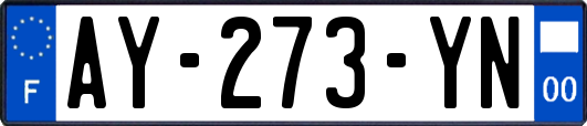 AY-273-YN