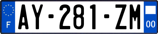 AY-281-ZM