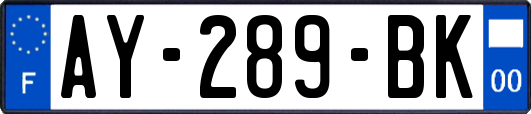 AY-289-BK