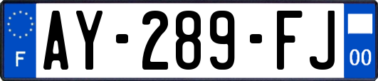 AY-289-FJ