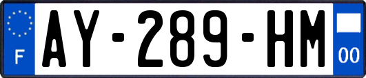 AY-289-HM
