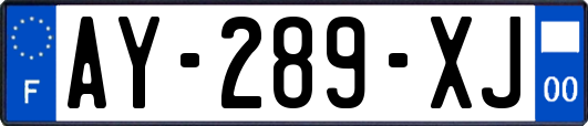 AY-289-XJ