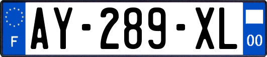 AY-289-XL