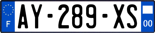 AY-289-XS