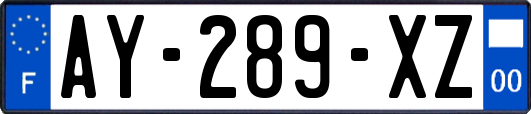 AY-289-XZ
