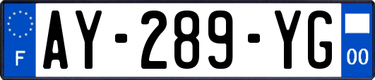 AY-289-YG