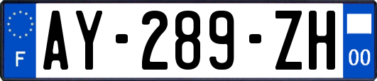 AY-289-ZH