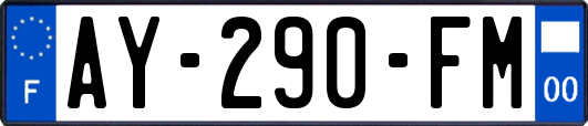 AY-290-FM