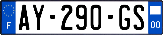 AY-290-GS