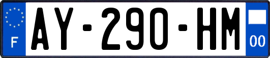 AY-290-HM