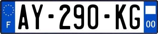 AY-290-KG
