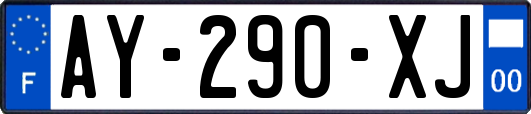 AY-290-XJ