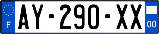 AY-290-XX