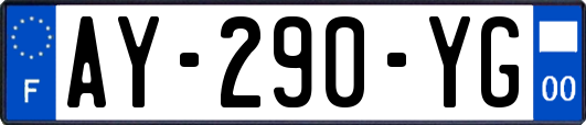 AY-290-YG