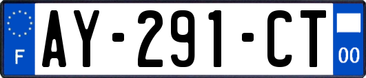 AY-291-CT