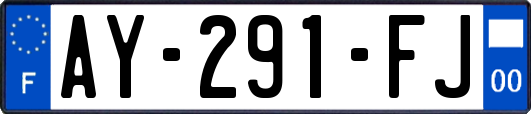 AY-291-FJ