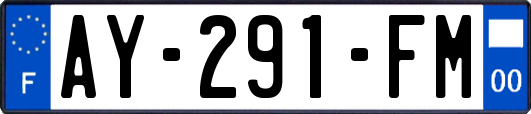 AY-291-FM